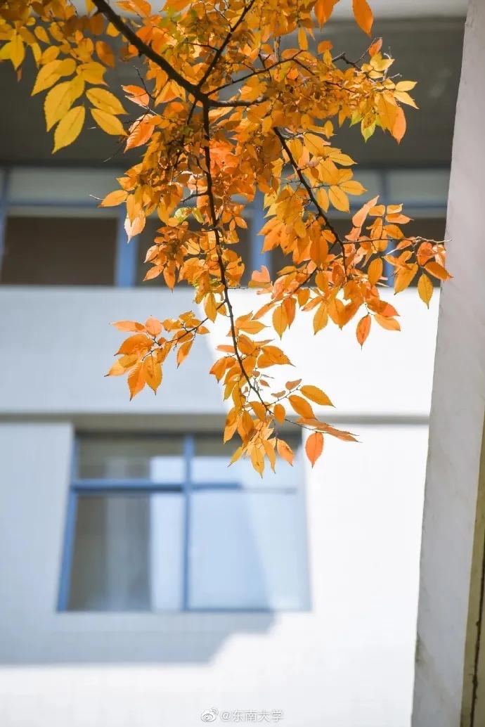 211学霸和985学霸,普通211逆袭北大