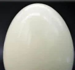 鼻头毛孔粗大如何改善缩小毛孔,皮肤毛孔粗大出汗可以缩小毛孔吗