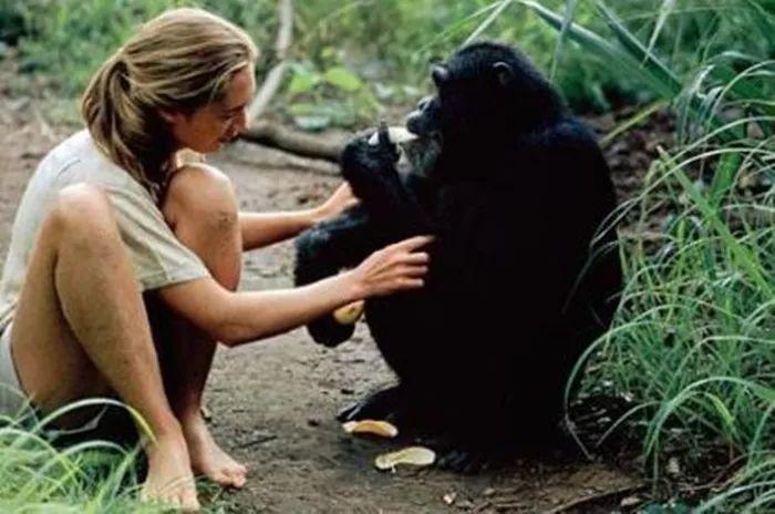 生食与熟食的利与弊有哪些,熟食比生食哪个更安全