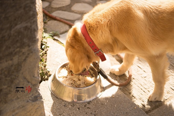 「徽州冷」宏村秋深晴少,友谊地久天