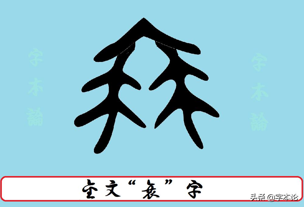 衰字在回乡偶书中的读音,回乡偶书里的衰是读cui还是shuai