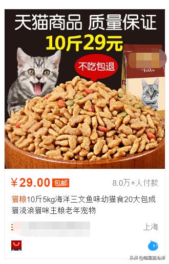 幼猫不知道之前吃什么猫粮怎么办,幼猫该吃什么东西