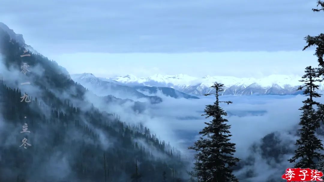 看了李子柒的视频的感受,看完李子柒后的感受