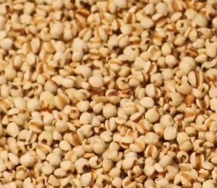 教你制作姜丝薏米茶,自制薏米姜茶的正确做法