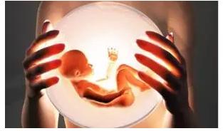 干细胞可以治疗不孕不育吗,诱导多功能干细胞解决不孕不育