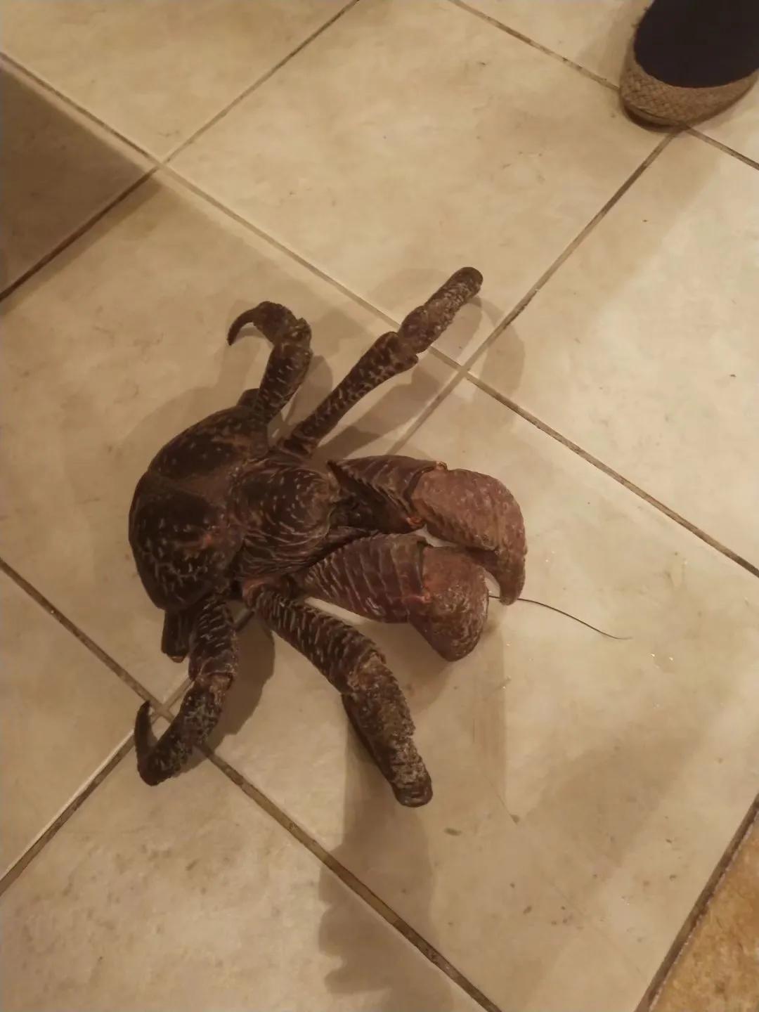 盼了三十多年，我终于见到了梦中的大海！