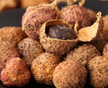 游四方全部视频,游四方四川