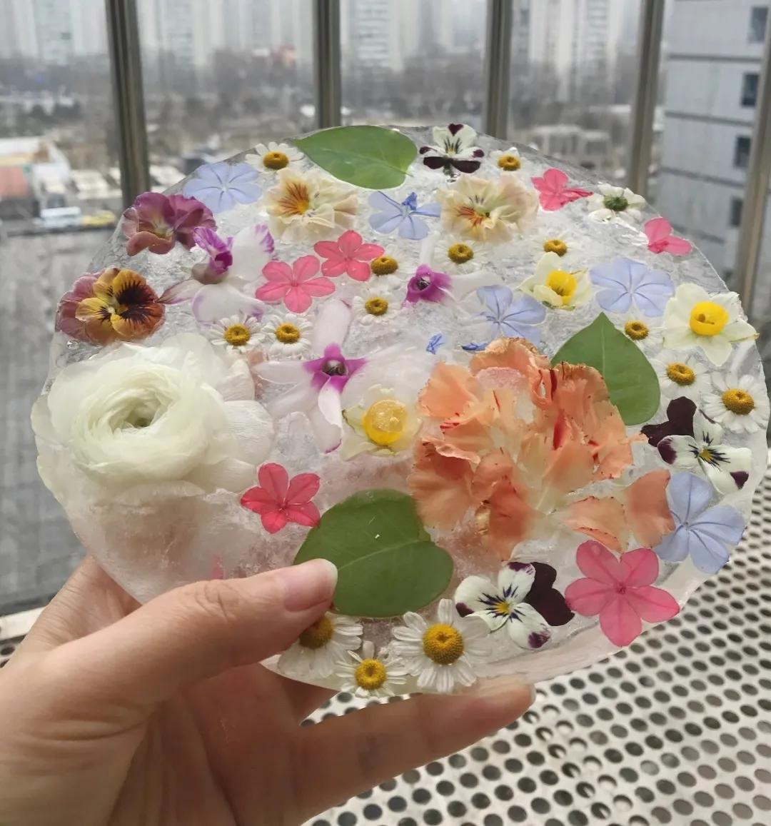 寒潮来袭，你的阳台也能开出这样的“水晶花”