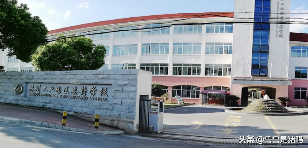 苏州有哪些五年一贯制学校,苏州园区九年一贯制学校排名