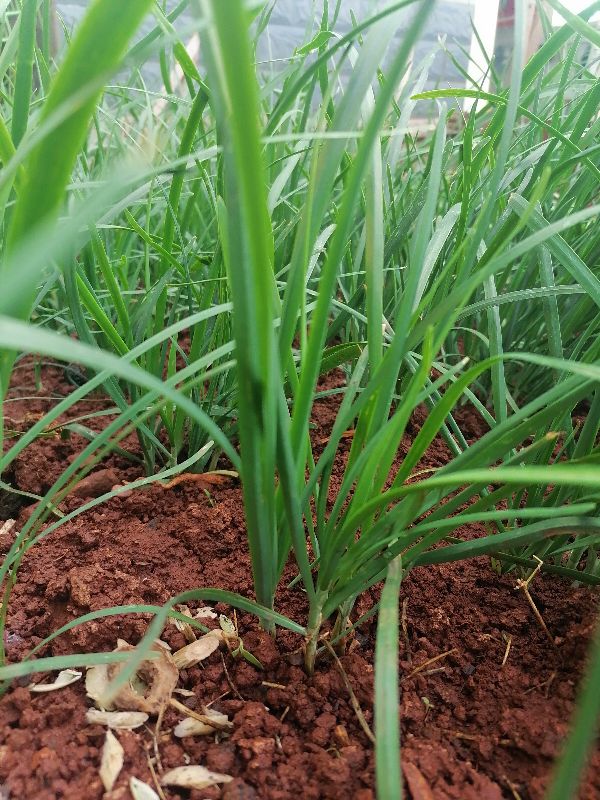 培养文化旅游人才队伍的建议,旅游文化人才培养和创新