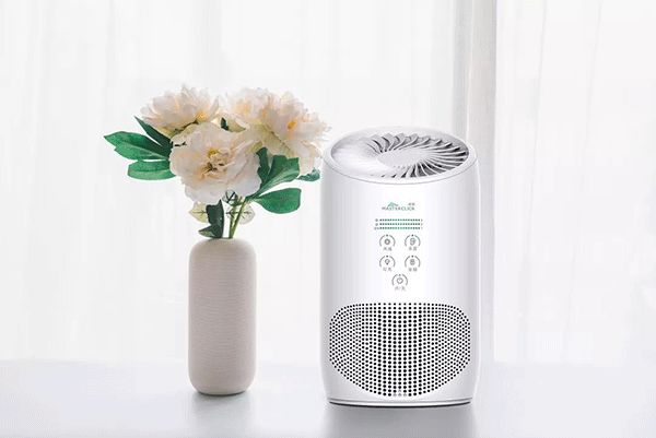 深圳奇信股份事件,奇信股份为什么能涨超过10%