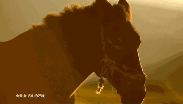 蔚县麻田岭小天山十八堂,小天山业态招商