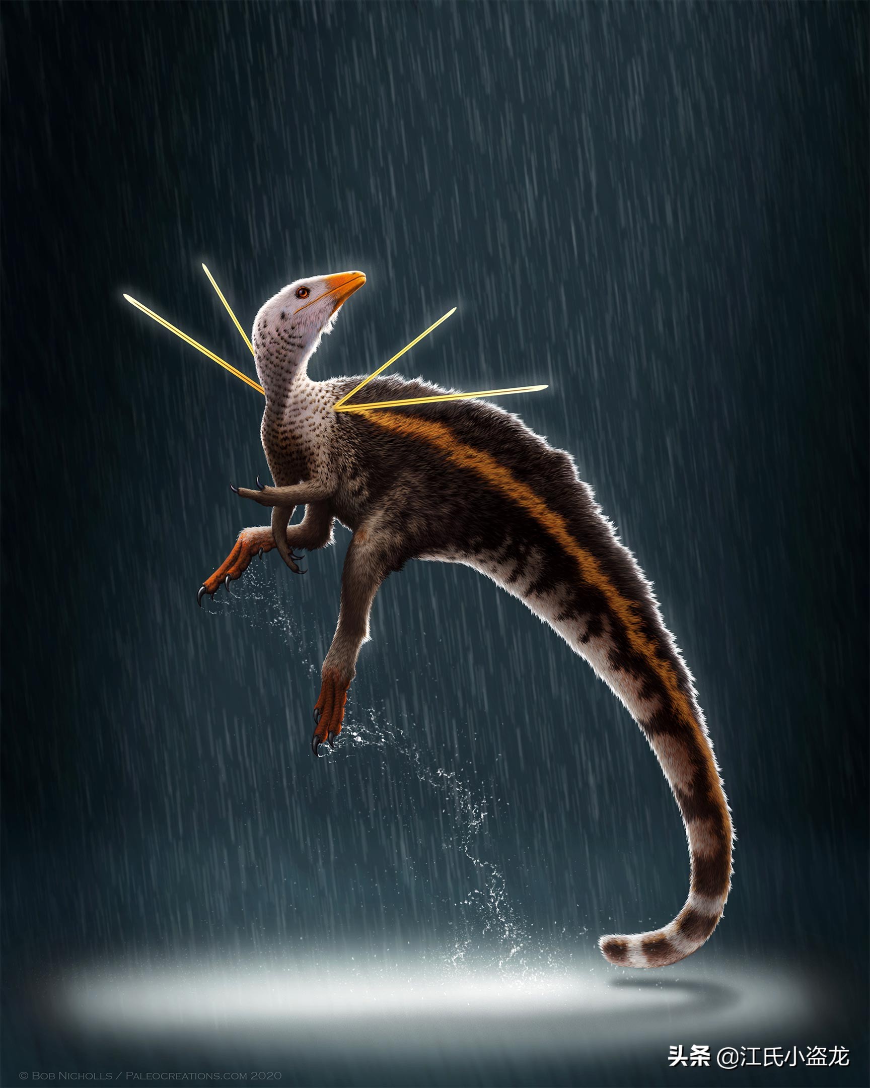 古生物时代有多少种恐龙,人类已经发现了多少恐龙种类