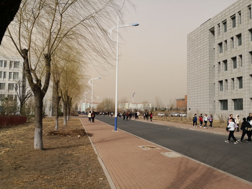 黑龙江东方学院院系,黑龙江省内大学本科