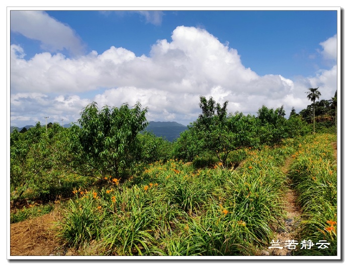 福建永泰云顶山风景图片,福州永泰云顶风景如画成避暑胜地