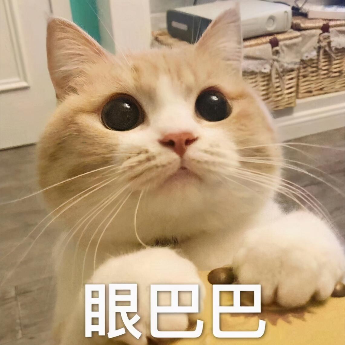 从我考研选择东北财经大学谈一谈应如何选择考研院校或专业?