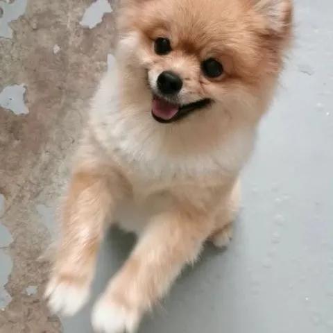 158cm插画师与199cm男友的日常，网友：边笑哭边吃狗粮