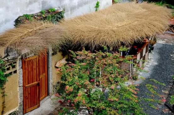 莫干山里面的民宿有哪几家,莫干山民宿哪里好玩