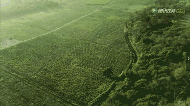 疫情在家陪娃学习新技能,在家隔离教你怎么训练孩子