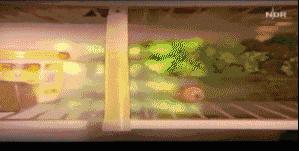 杀菌除味保鲜棒,德国冰箱保鲜除味棒