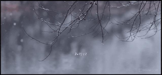 12个网站,12个超级实用的网站