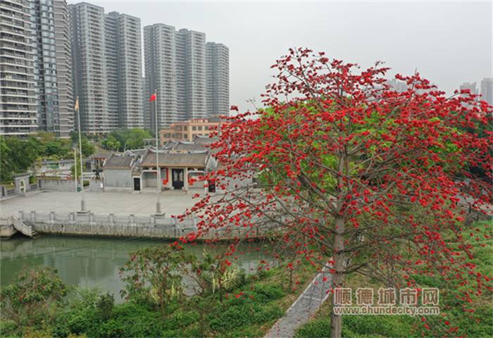 适子故里和善潭洲，焕发《三字经》新活力