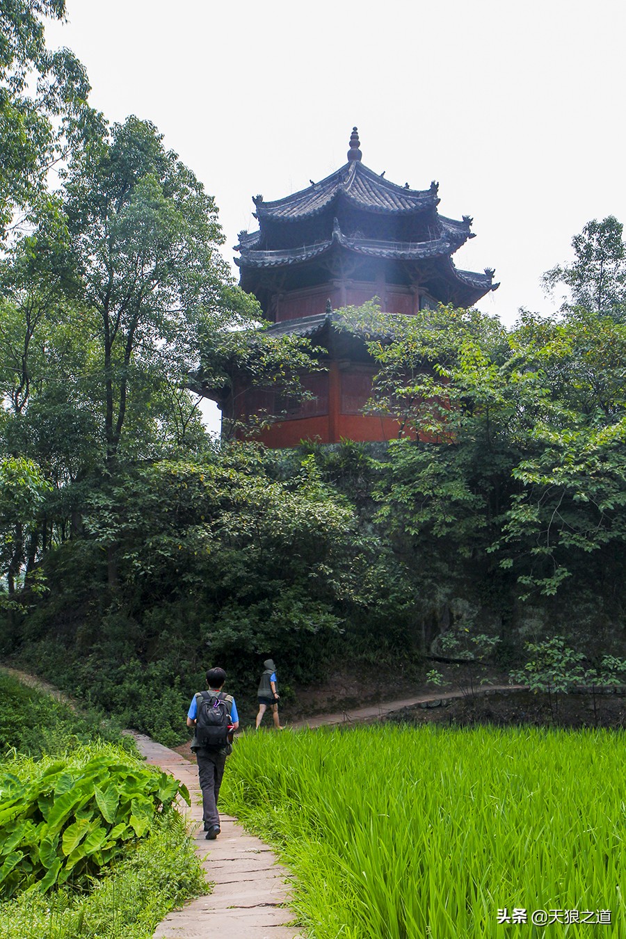 鏉庡簞鍙ら晣鍥涚粷寤虹瓚,鍙ゅ缓涔嬫梾