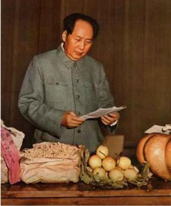 毛主席去青岛视察，顺便去肖劲光家做客：让你夫人做个苦瓜炒鸭子