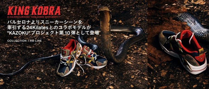 跑鞋除了有碳板还有什么,跑鞋除了飞马还可以买什么