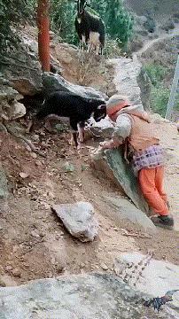 搞笑动图gif笑到肚子疼,搞笑动图gif图片