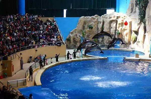 北京海洋馆亲子套票两大一小,北京海洋馆里面的儿童乐园
