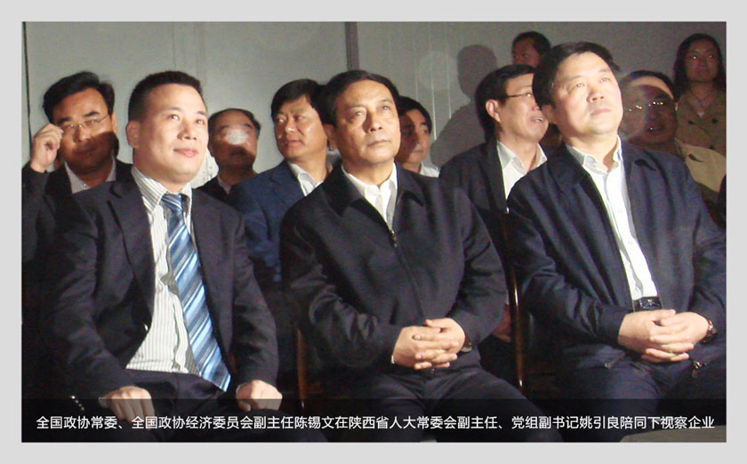 陕西苹果公司,陕西苹果十大排名