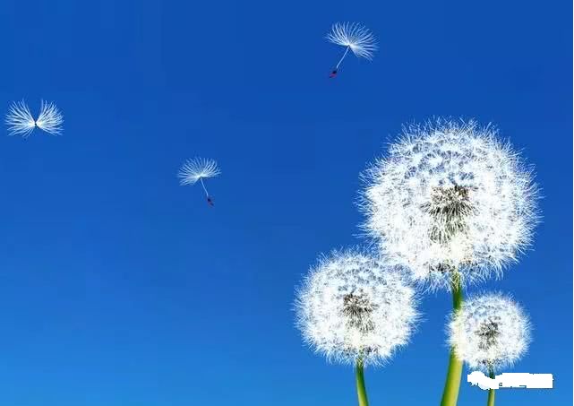 期货交易耐心等待,期货耐心等待的最高境界