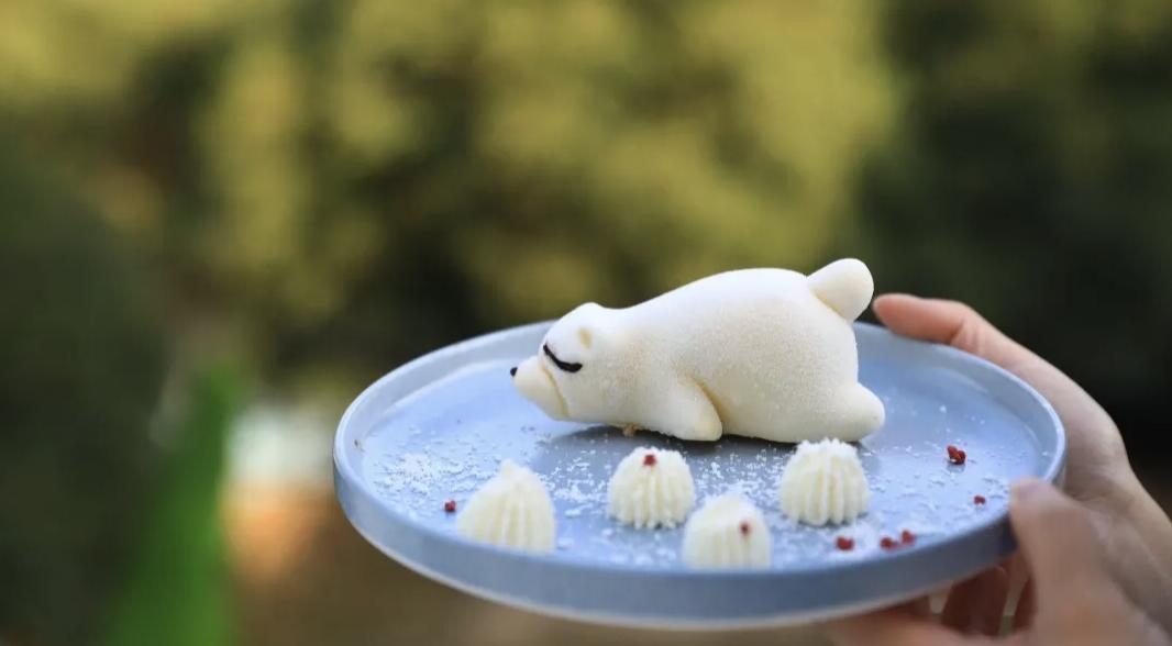 山林竹笋泊云屋舍.....莫干山每一宿都有不期而遇小惊喜