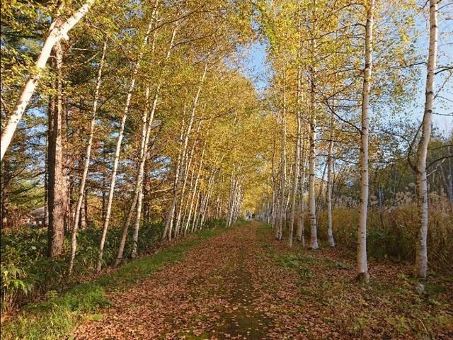 日本从南到北旅游路线,从南游到北