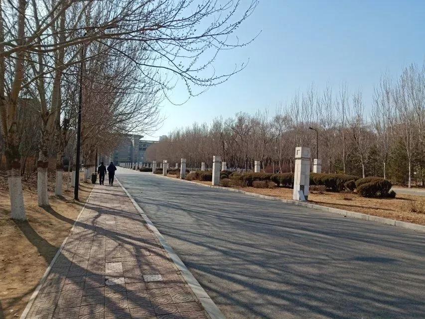 沈阳理工大学辽宁工程技术大学,沈阳理工大学专科院校