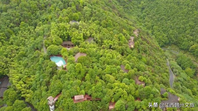 江西森林马拉松赛大余站第一名,江西森林马拉松系引赛靖安站