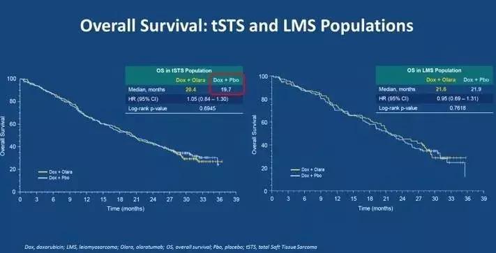 牛晓辉教授:晚期软组织肉瘤诊治现状