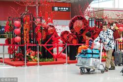 春节你是选择回家还是旅游过年,过年你是选择回家还是加班