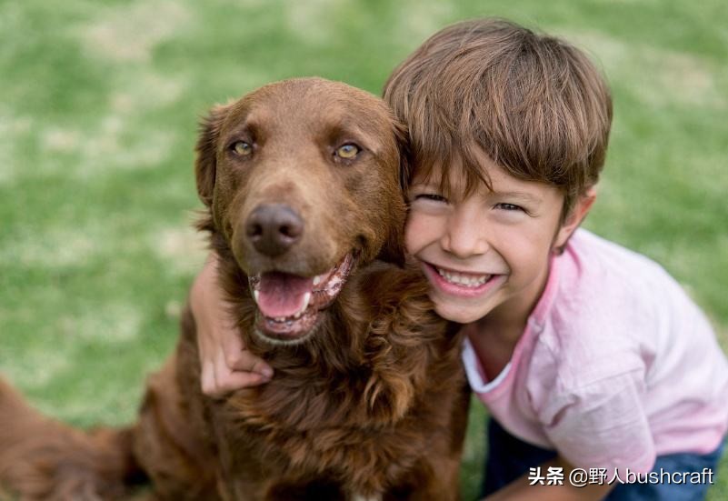 想找野外好友？那你一定要了解它们