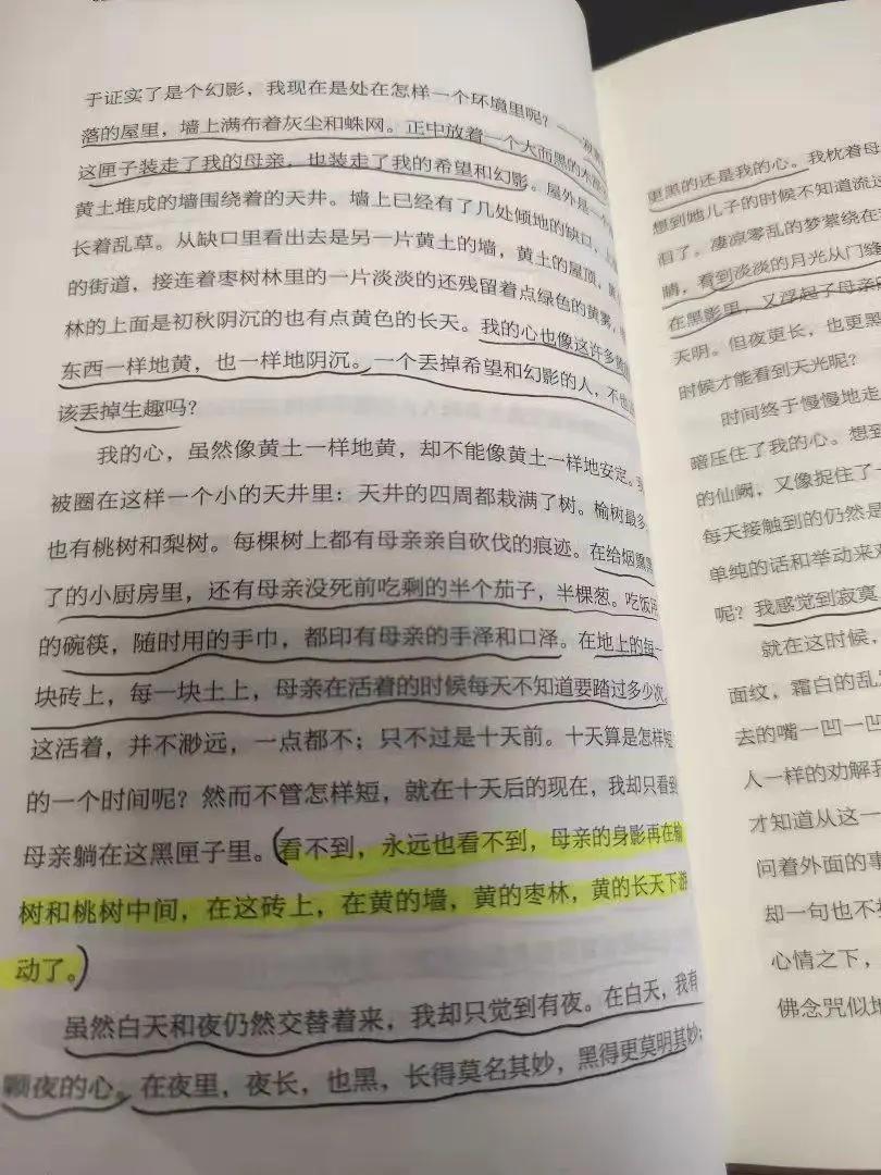 NO.2季羡林——《我爱天下一切狗》