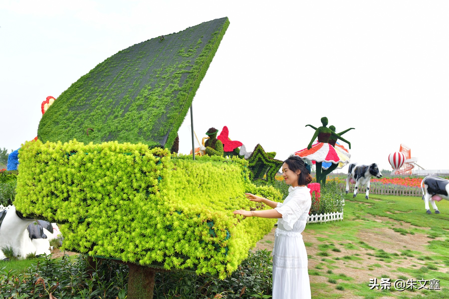 大丰荷兰花海郁金香开了没有,荷兰花海现在有郁金香吗