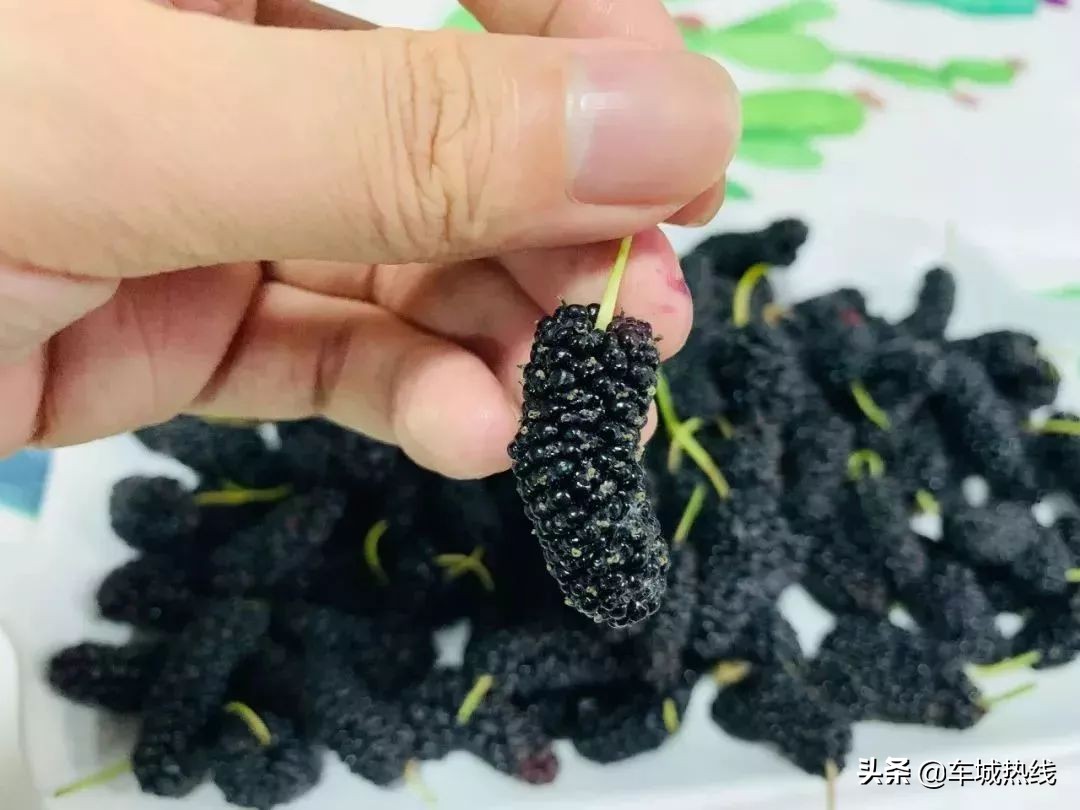 十堰市坐公交车最新要求,今天十堰公交202出行情况