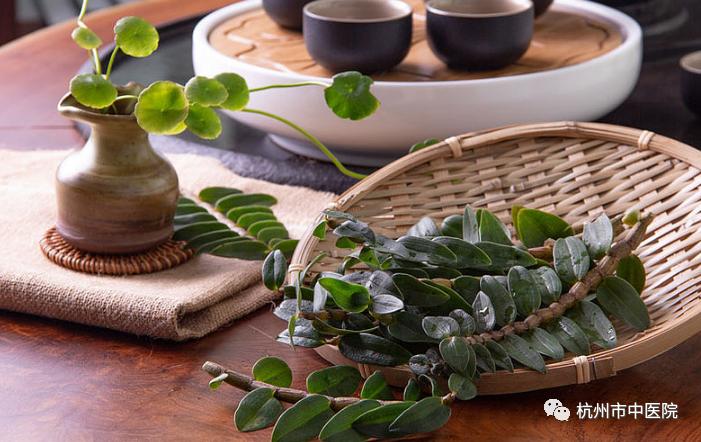 「周末食疗」快点开,了解这颗“千年仙草”—石斛到底该怎么挑?怎么吃?