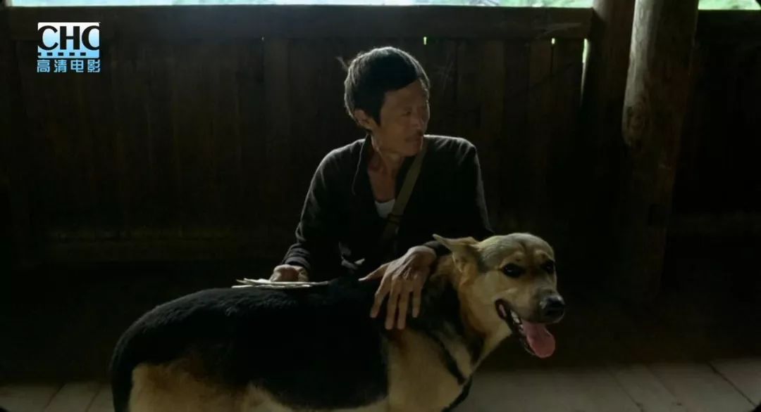 日本票房6亿的中国电影,国内票房破49亿