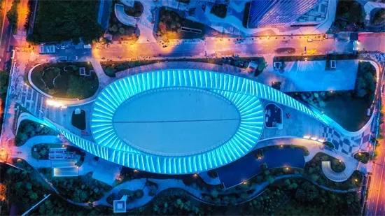 中国十大轮滑项目,轮滑项目分为几种