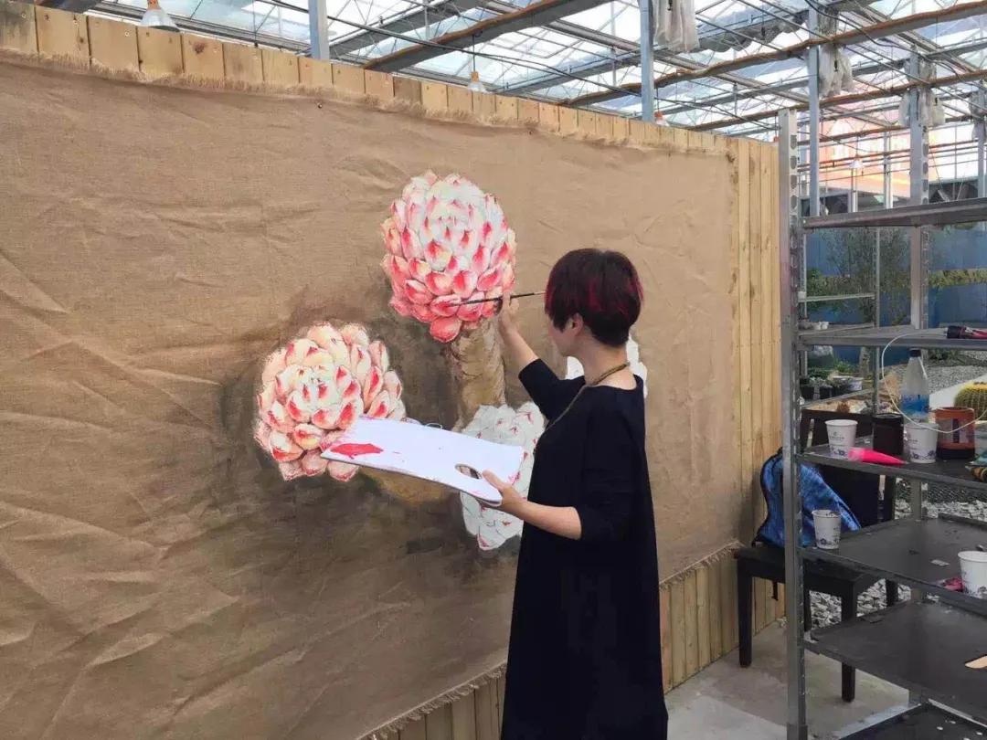 多肉直播一棵包邮,一棵多肉600万出售