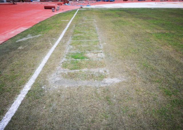 中超草皮出问题了怎么办,中超足球场怎么看风波