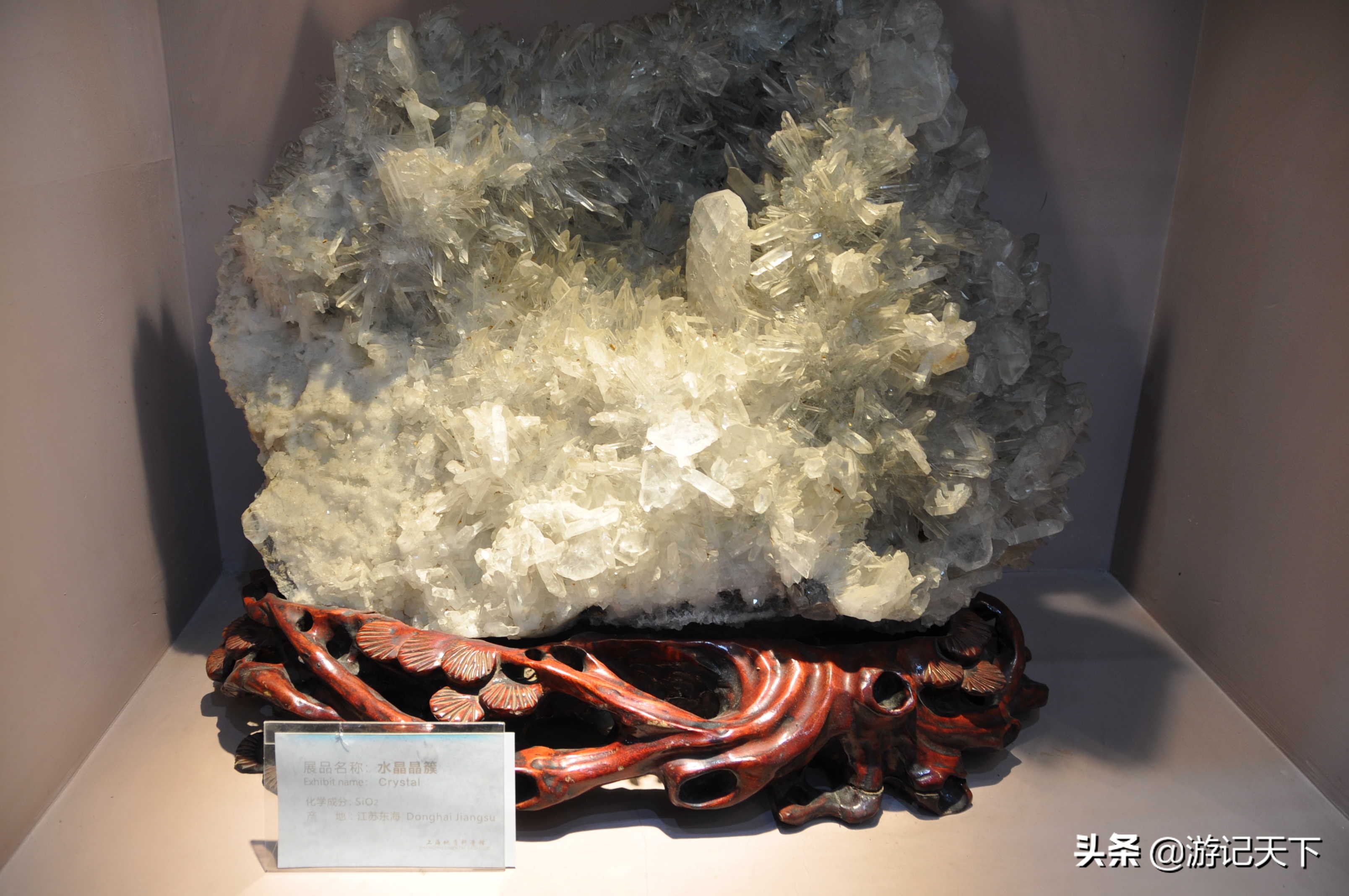 参观上海东方地质科普馆,上海东方地质科普馆需要预约吗