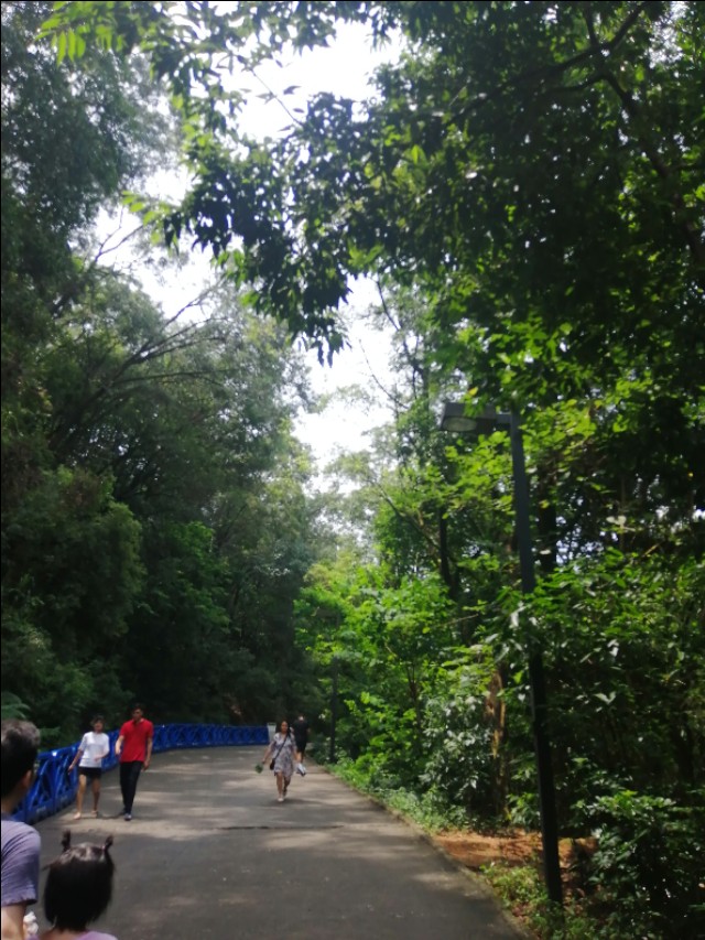 东莞旗峰公园掠影,东莞旗峰公园大体俯视图片